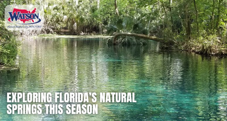 Exploring Florida's Natural Springs This Season | Watson Realty Corp.